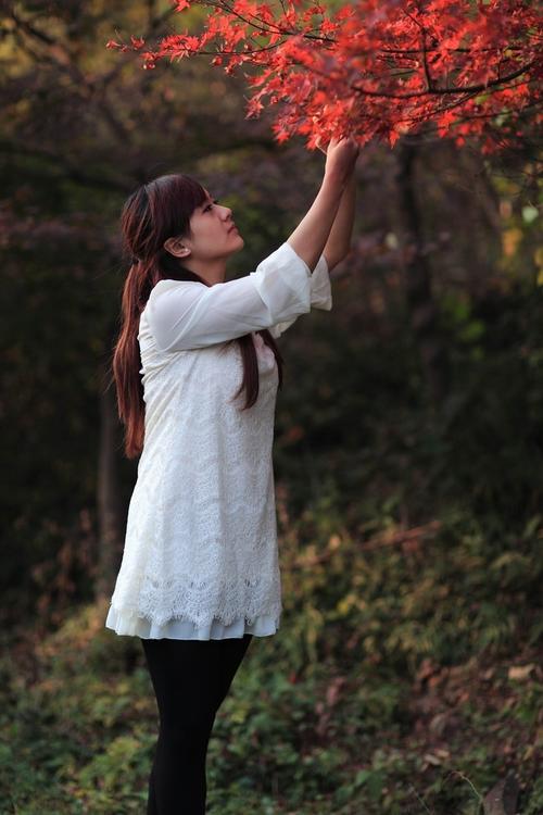 女孩堕落手册第一季